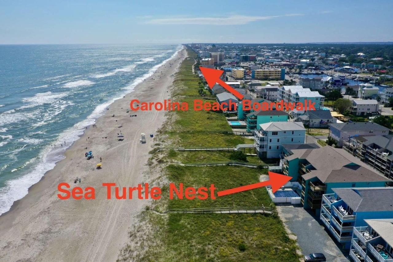 Sea Turtle'S Nest Villa Carolina Beach Dış mekan fotoğraf